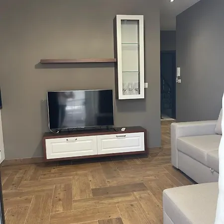 Luxury Apartment *